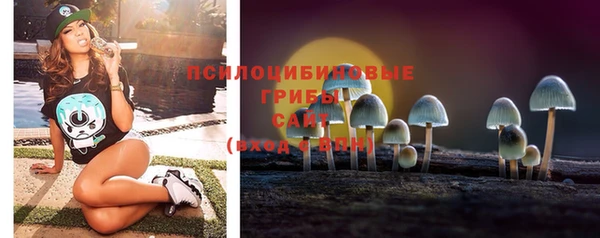гашик Балахна