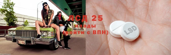 прущие грибы Баксан