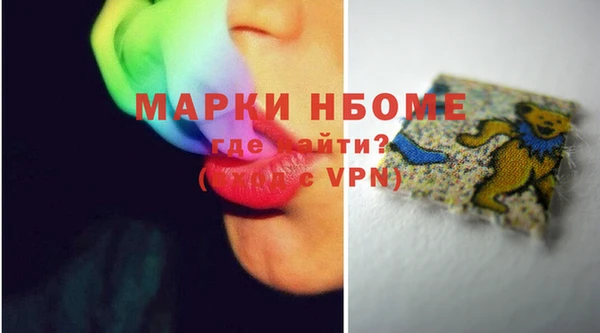 прущие грибы Баксан
