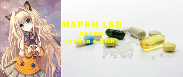 прущие грибы Баксан