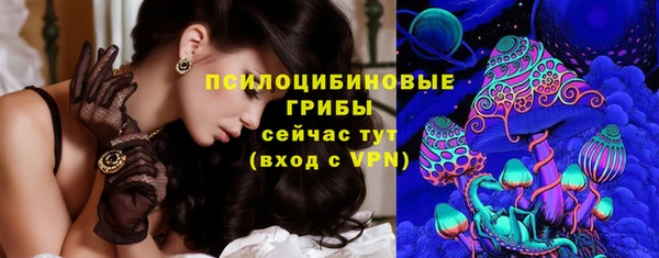 гашик Балахна