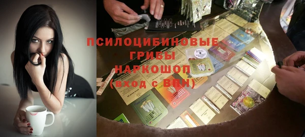 гашик Балахна