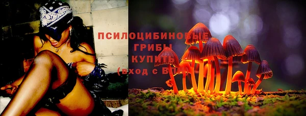 гашик Балахна