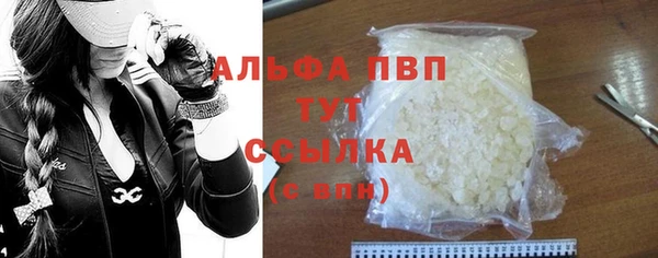 прущие грибы Баксан