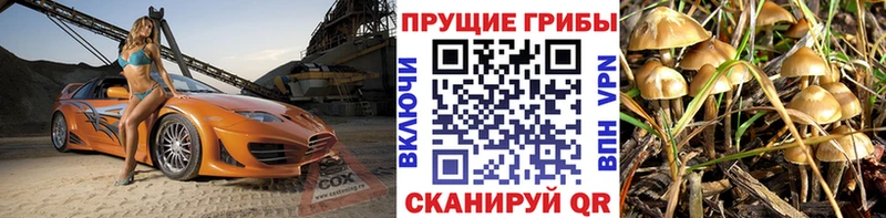 где купить наркоту  ОМГ ОМГ ONION  Псилоцибиновые грибы прущие грибы  Беломорск 
